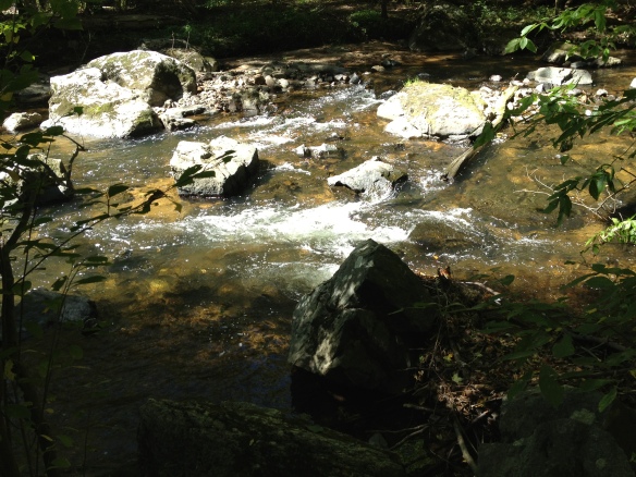 The music of the rushing river waters...